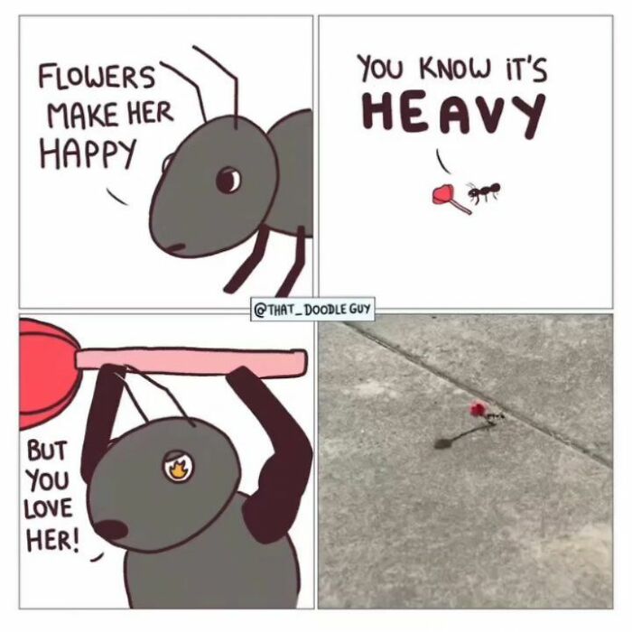 Hilarious Animal Comics That Totally Guess What’s Really Going On