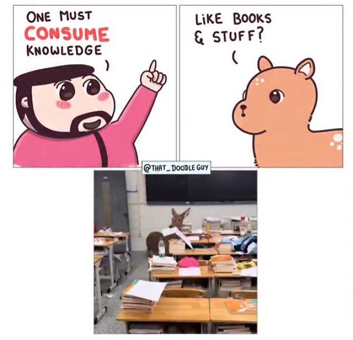 Hilarious Animal Comics That Totally Guess What’s Really Going On