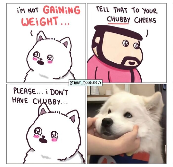 Hilarious Animal Comics That Totally Guess What’s Really Going On