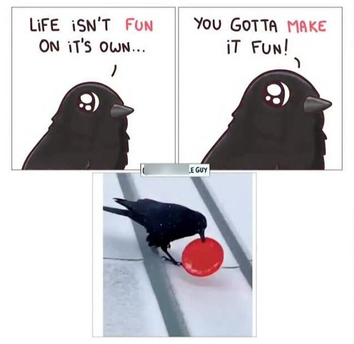 Hilarious Animal Comics That Totally Guess What’s Really Going On