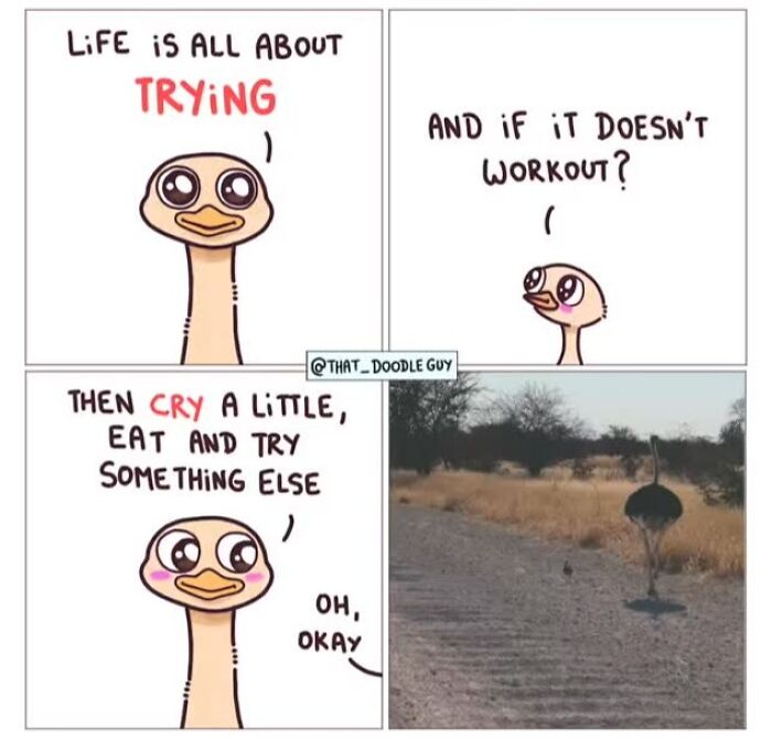 Hilarious Animal Comics That Totally Guess What’s Really Going On