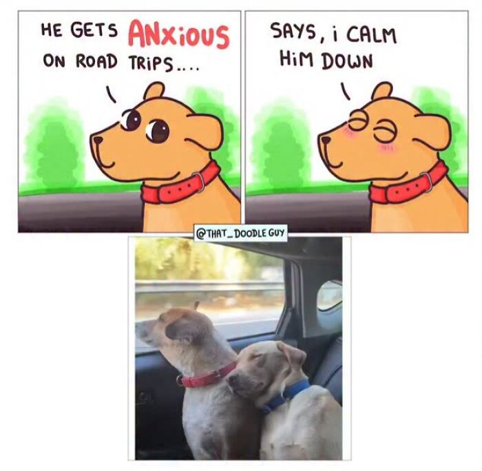 Hilarious Animal Comics That Totally Guess What’s Really Going On