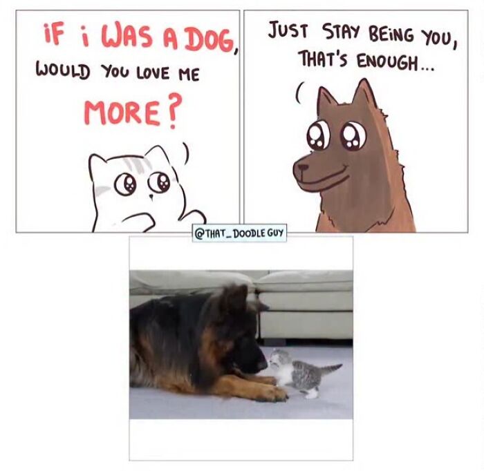 Hilarious Animal Comics That Totally Guess What’s Really Going On