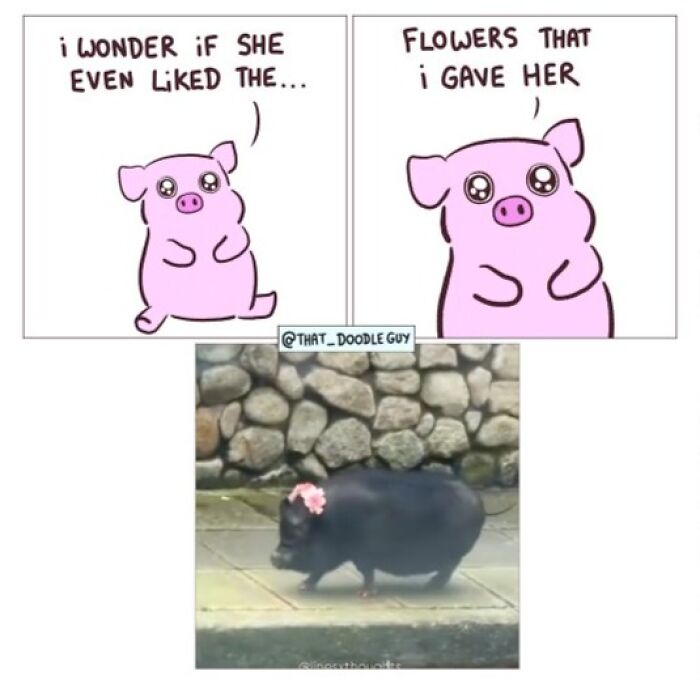 Hilarious Animal Comics That Totally Guess What’s Really Going On