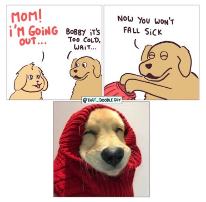 Hilarious Animal Comics That Totally Guess What’s Really Going On