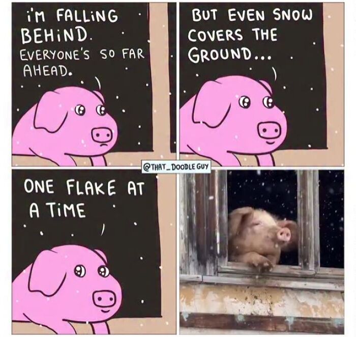 Hilarious Animal Comics That Totally Guess What’s Really Going On
