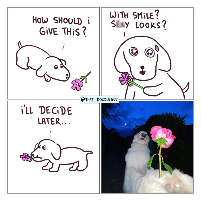 Hilarious Animal Comics That Totally Guess What’s Really Going On