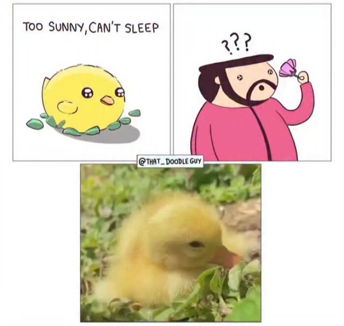 Hilarious Animal Comics That Totally Guess What’s Really Going On