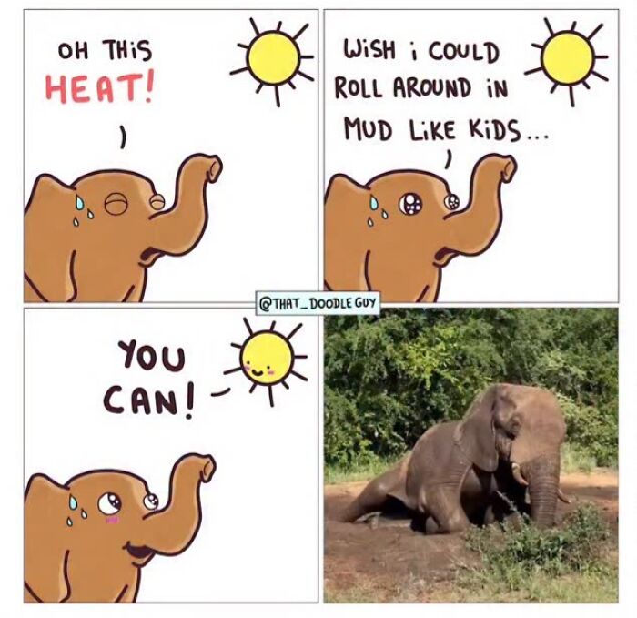 Hilarious Animal Comics That Totally Guess What’s Really Going On