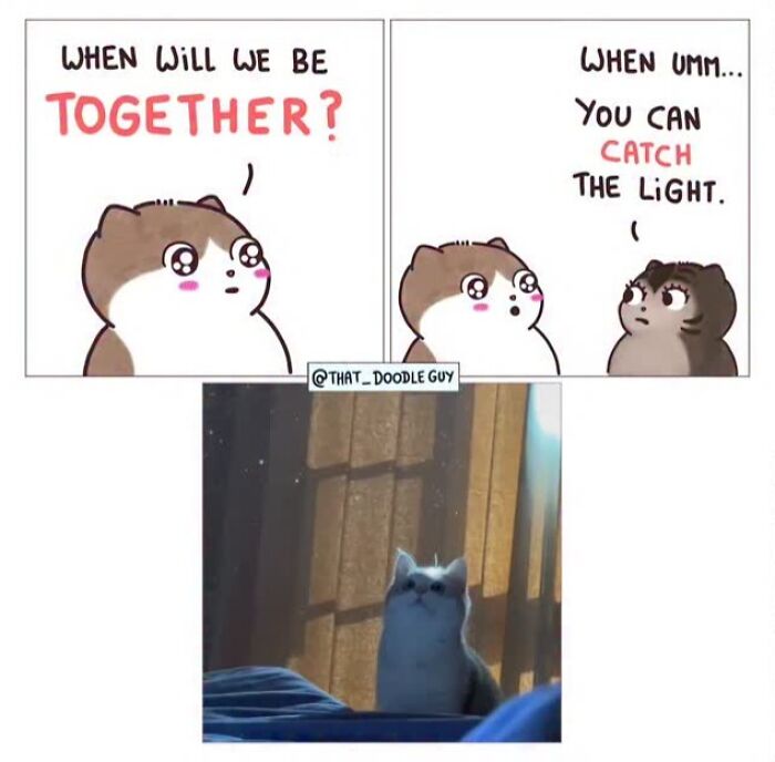 Hilarious Animal Comics That Totally Guess What’s Really Going On