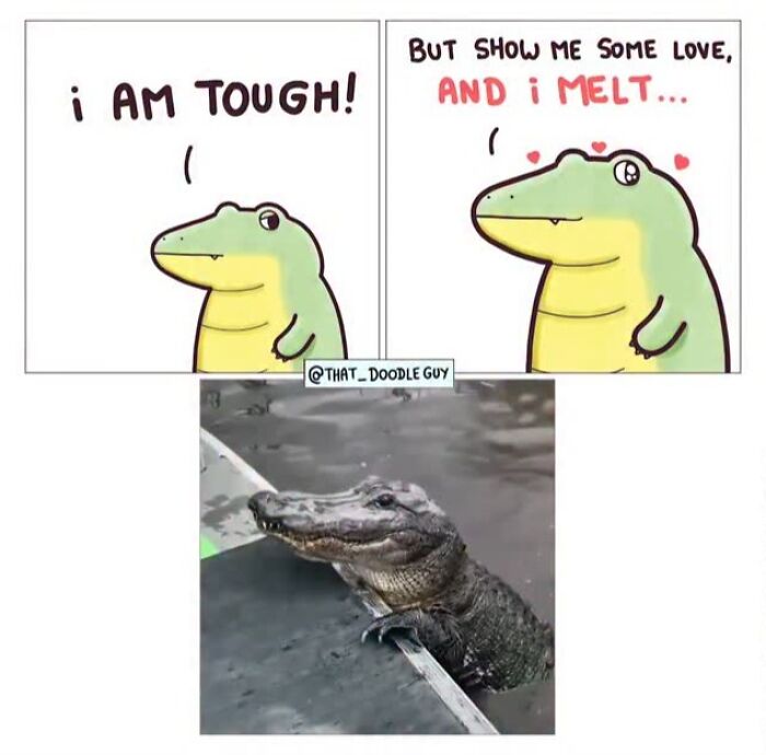 Hilarious Animal Comics That Totally Guess What’s Really Going On