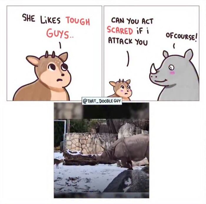 Hilarious Animal Comics That Totally Guess What’s Really Going On