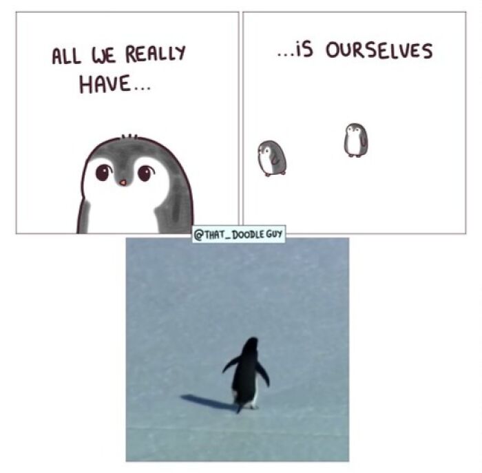 Hilarious Animal Comics That Totally Guess What’s Really Going On