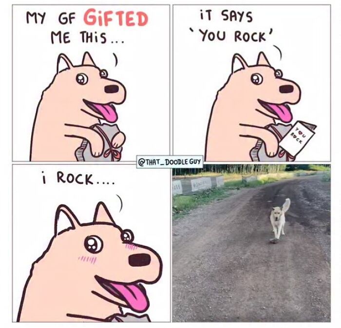 Hilarious Animal Comics That Totally Guess What’s Really Going On