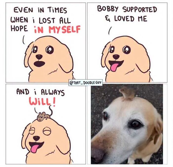 Hilarious Animal Comics That Totally Guess What’s Really Going On