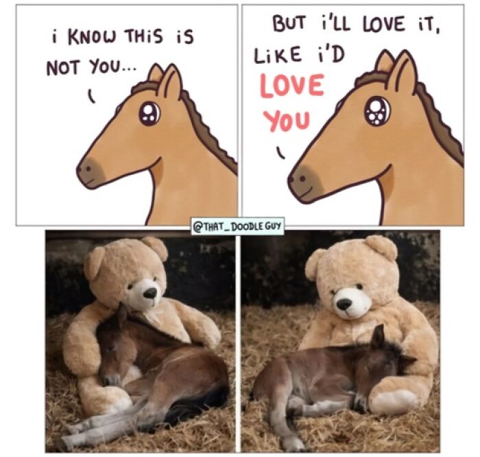 Hilarious Animal Comics That Totally Guess What’s Really Going On