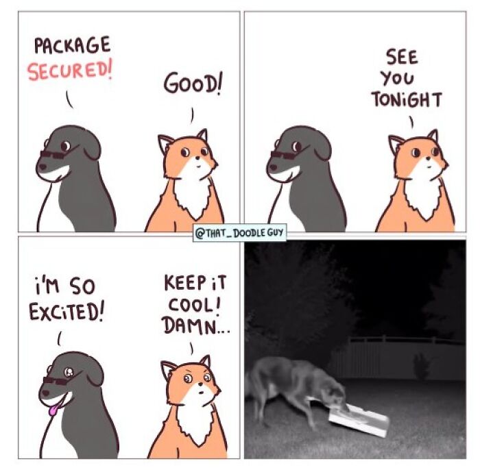 Hilarious Animal Comics That Totally Guess What’s Really Going On