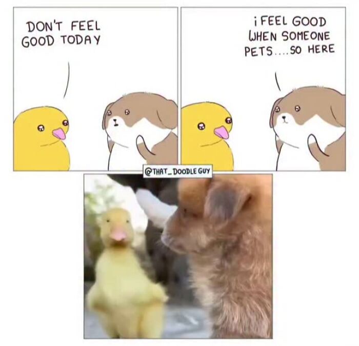 Hilarious Animal Comics That Totally Guess What’s Really Going On