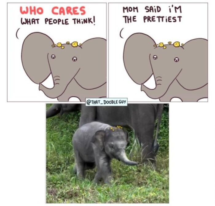 Hilarious Animal Comics That Totally Guess What’s Really Going On