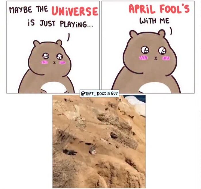 Hilarious Animal Comics That Totally Guess What’s Really Going On