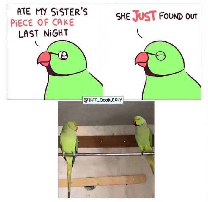 Hilarious Animal Comics That Totally Guess What’s Really Going On