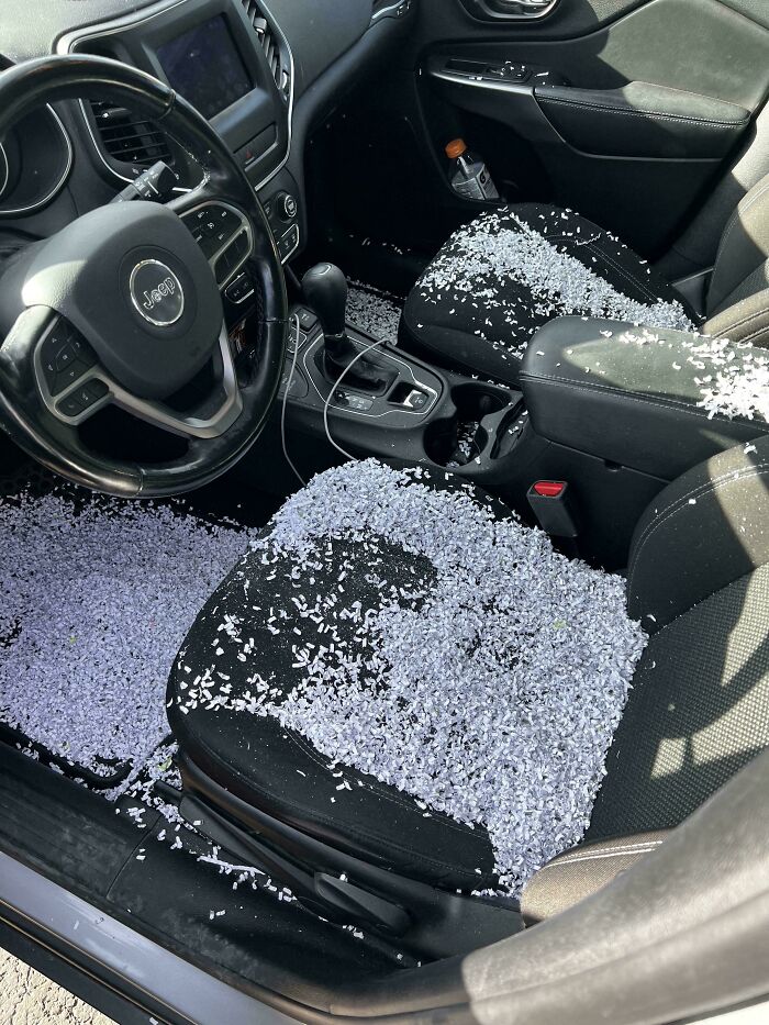 Shredder Contents as Car Decorations? Not a Joke