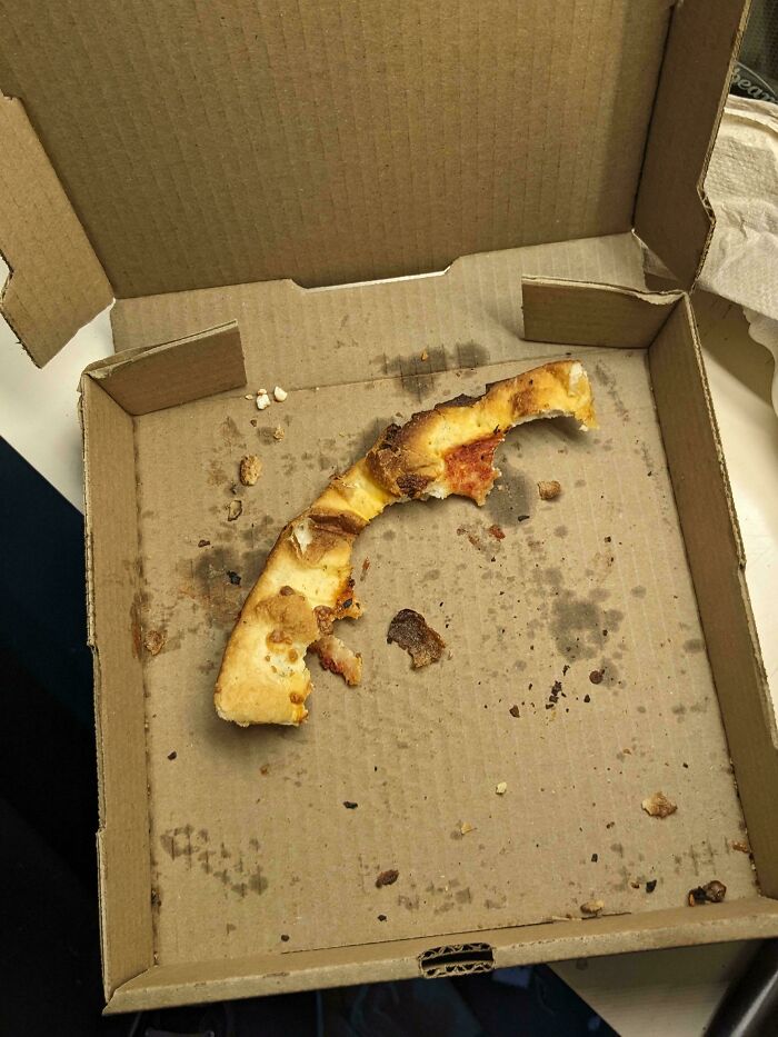 Lunch Left Unattended For 10 Minutes = Disaster