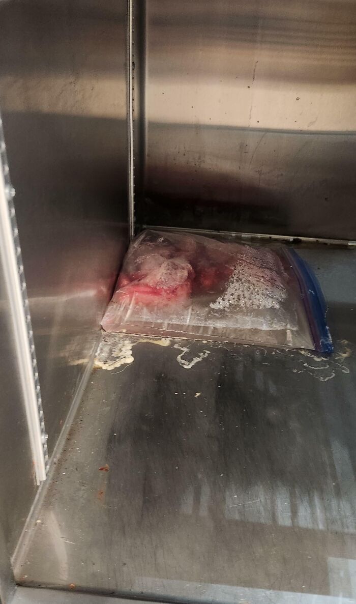 Wait, They Actually Did That at Work?! 80 Photos of Coworker Shenanigans Gone Wild