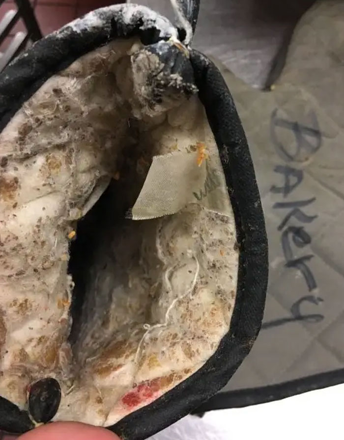 Wait, They Actually Did That at Work?! 80 Photos of Coworker Shenanigans Gone Wild