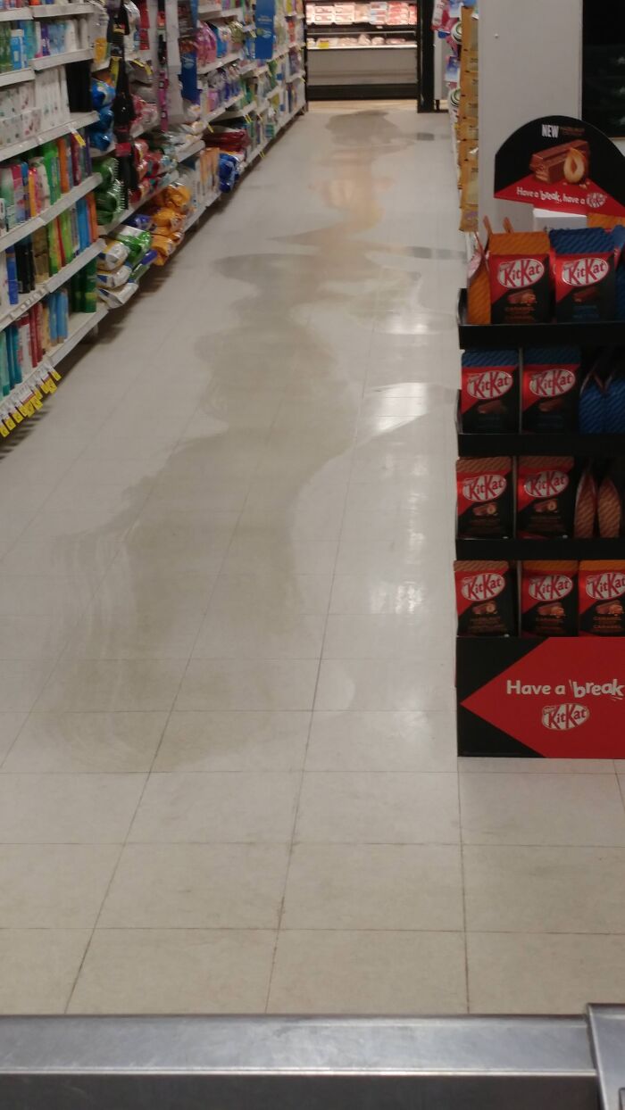 Wait, They Actually Did That at Work?! 80 Photos of Coworker Shenanigans Gone Wild