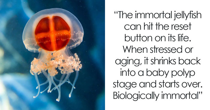 44 Animal Facts That’ll Totally Surprise You