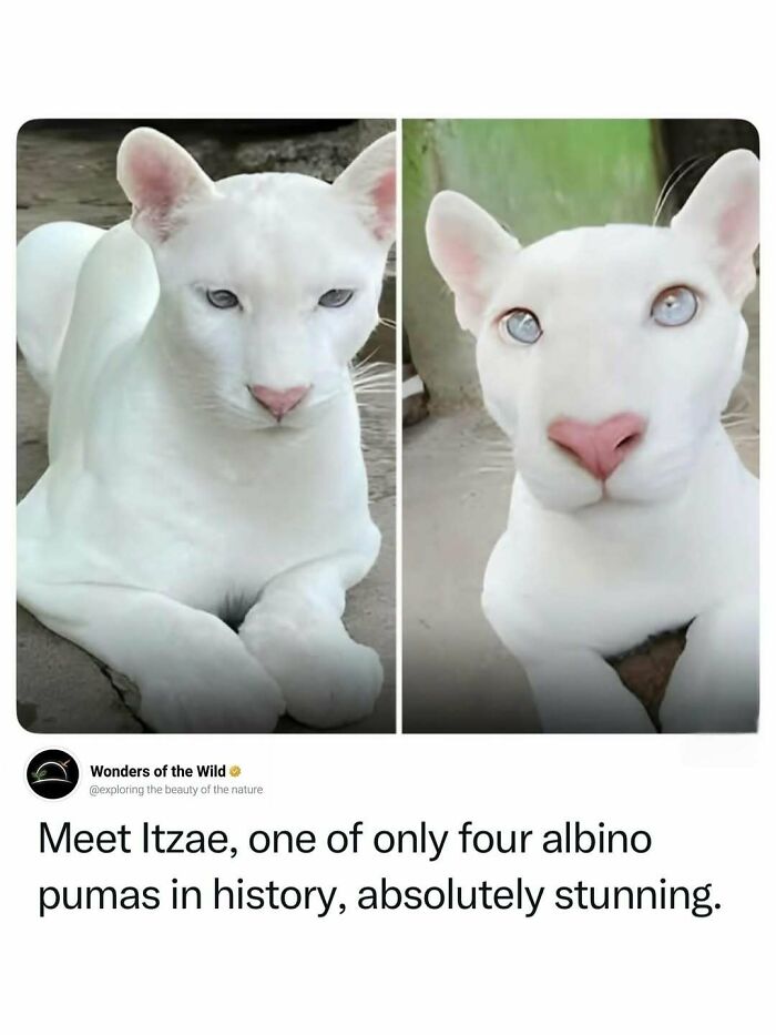 44 Animal Facts That’ll Totally Surprise You