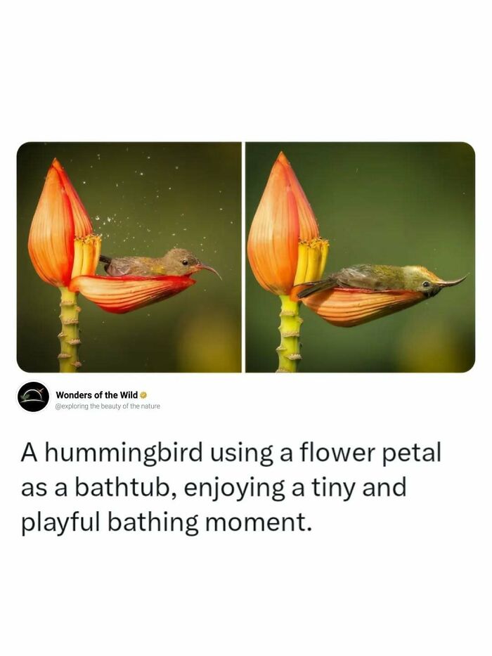 44 Animal Facts That’ll Totally Surprise You
