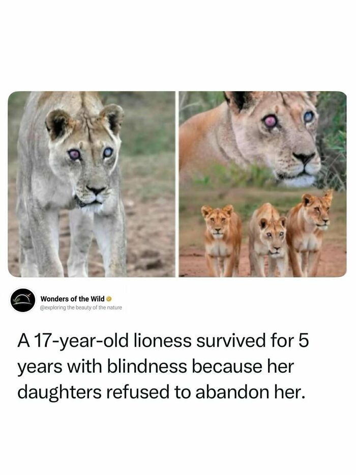 44 Animal Facts That’ll Totally Surprise You