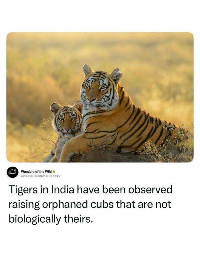 44 Animal Facts That’ll Totally Surprise You