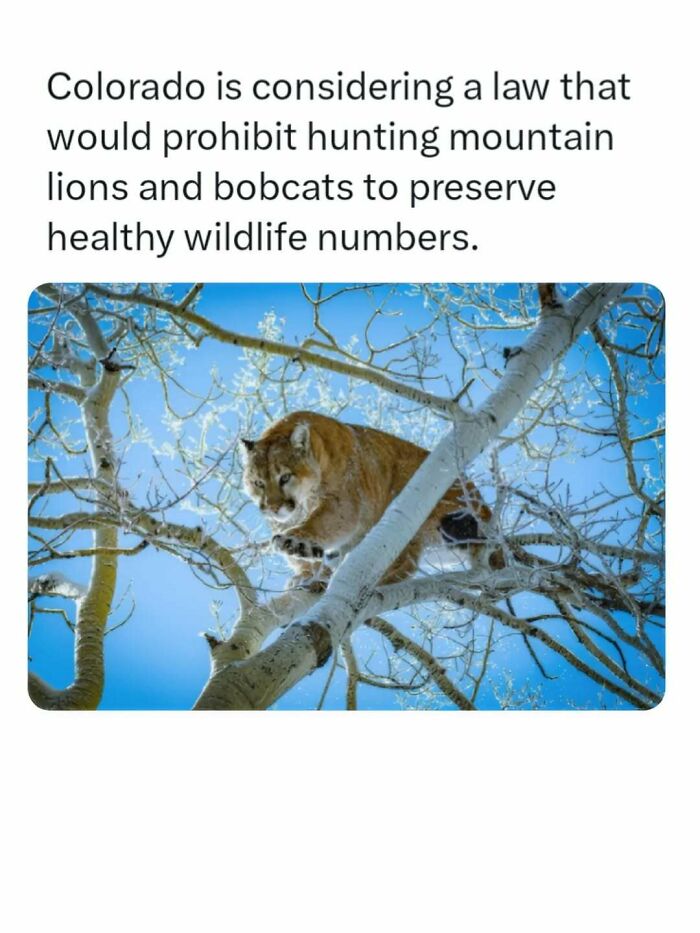 44 Animal Facts That’ll Totally Surprise You