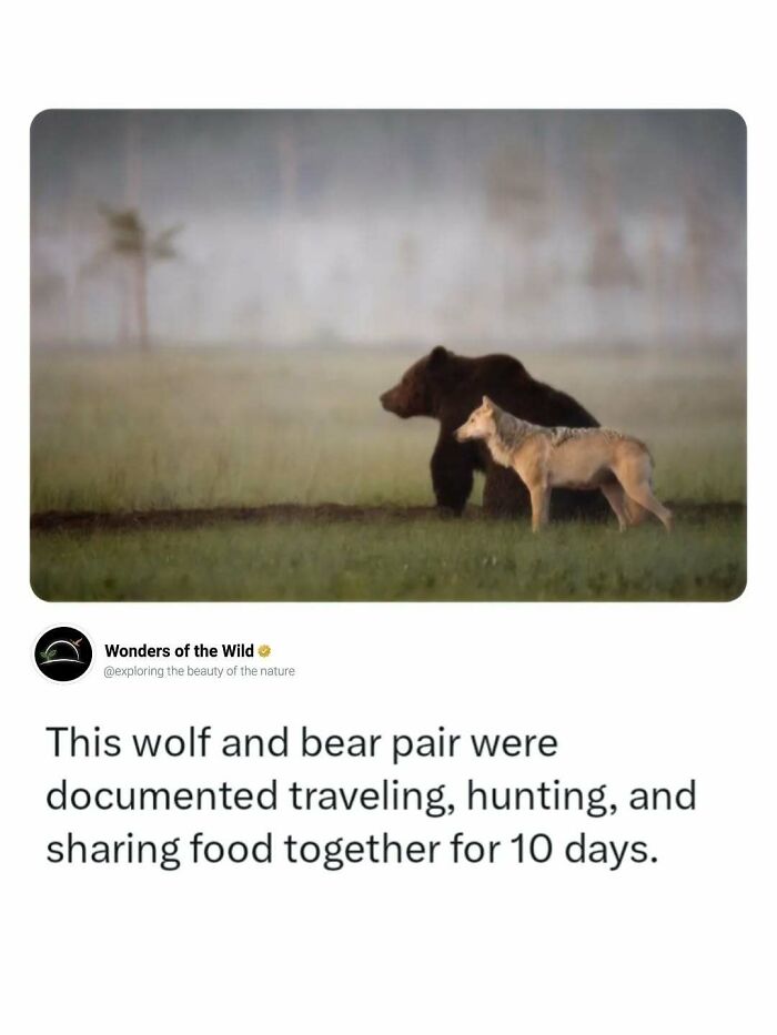 44 Animal Facts That’ll Totally Surprise You