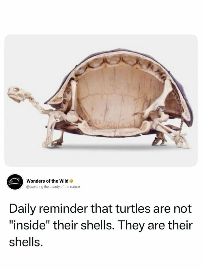 44 Animal Facts That’ll Totally Surprise You