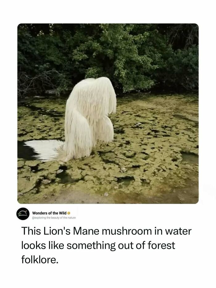 44 Animal Facts That’ll Totally Surprise You