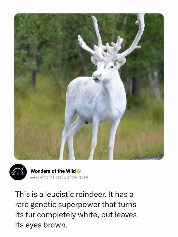 44 Animal Facts That’ll Totally Surprise You
