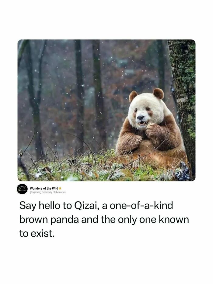 44 Animal Facts That’ll Totally Surprise You