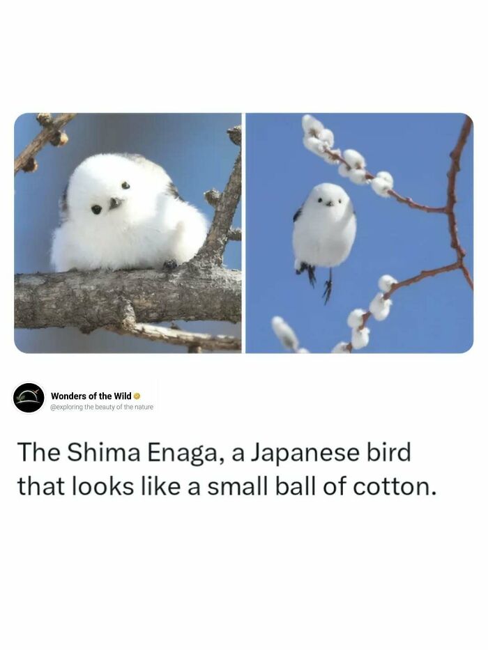 44 Animal Facts That’ll Totally Surprise You