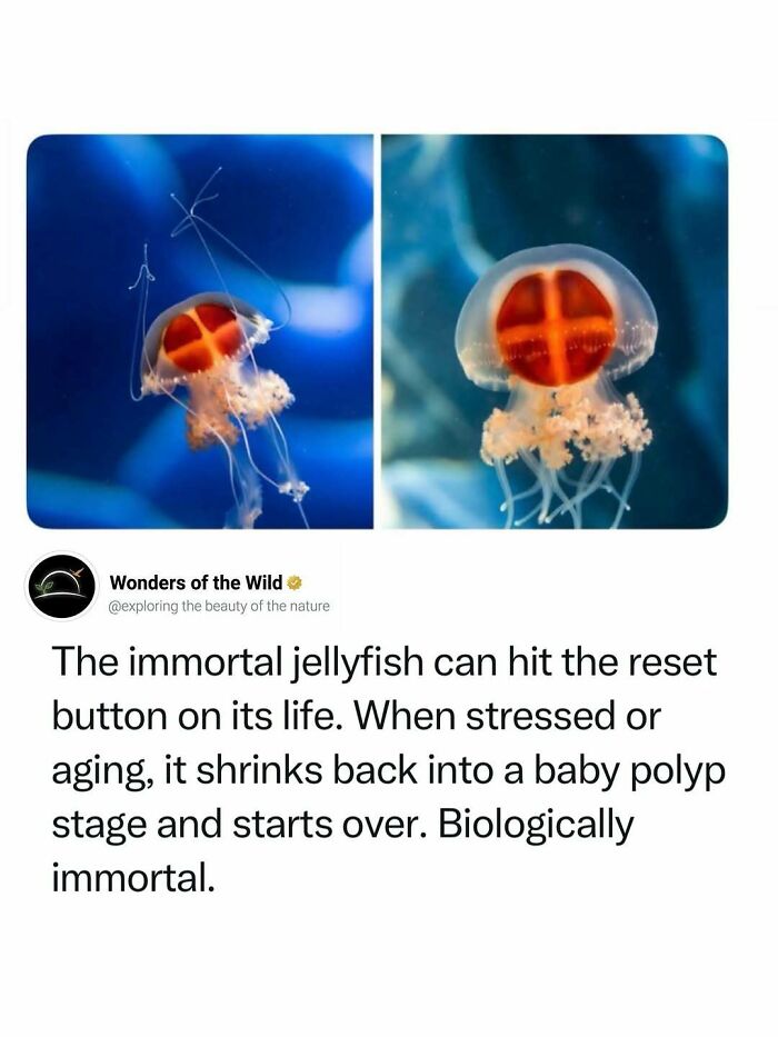 44 Animal Facts That’ll Totally Surprise You