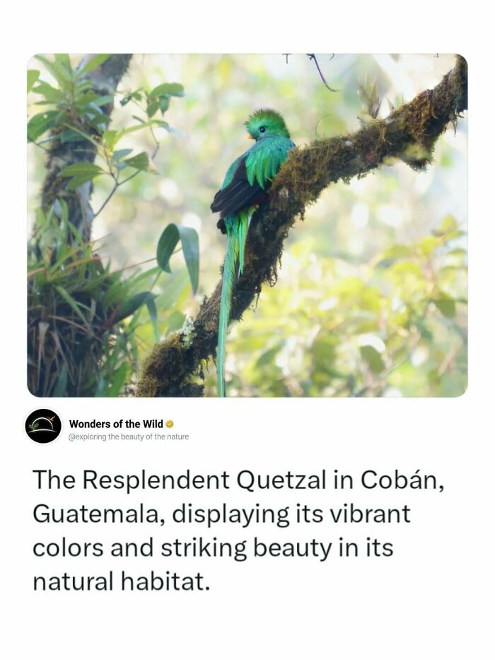 44 Animal Facts That’ll Totally Surprise You