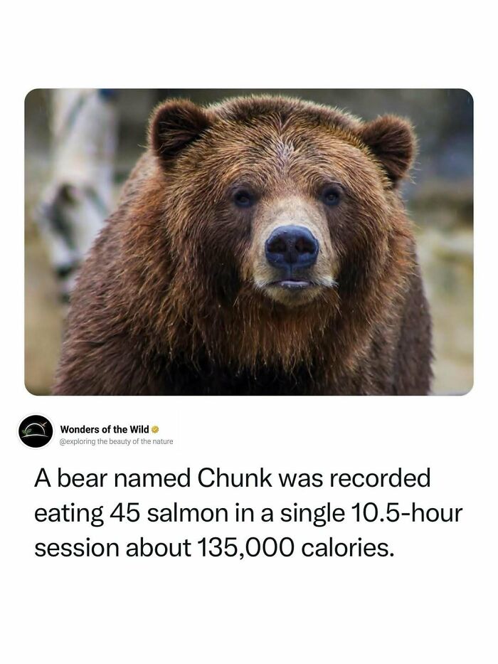 44 Animal Facts That’ll Totally Surprise You
