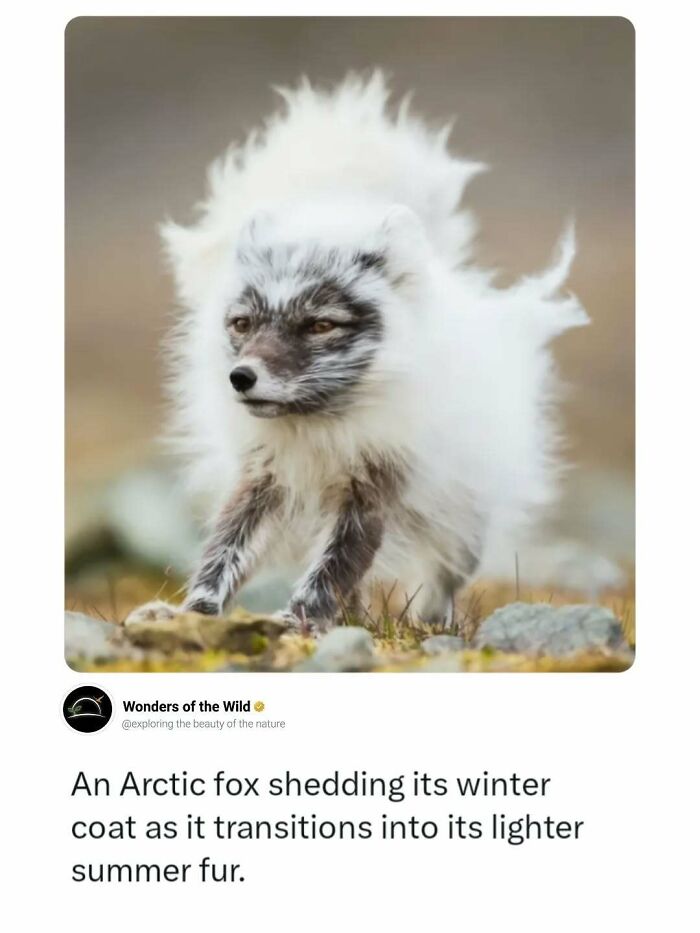 44 Animal Facts That’ll Totally Surprise You