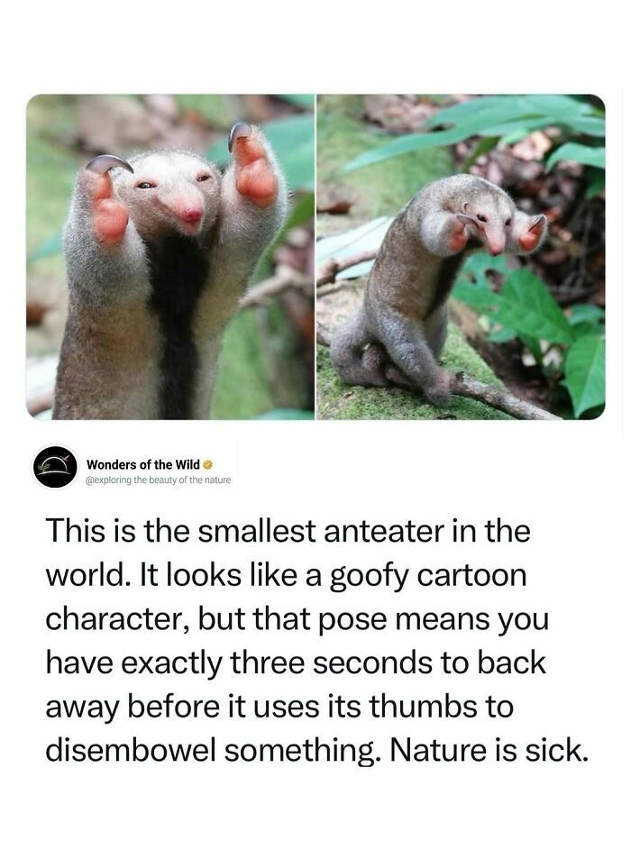 44 Animal Facts That’ll Totally Surprise You