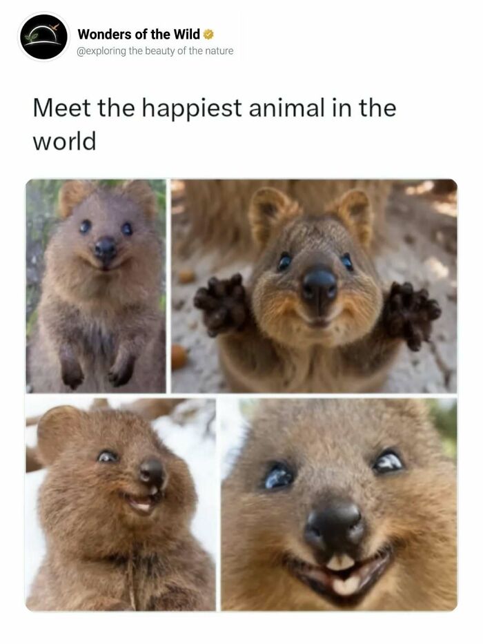44 Animal Facts That’ll Totally Surprise You