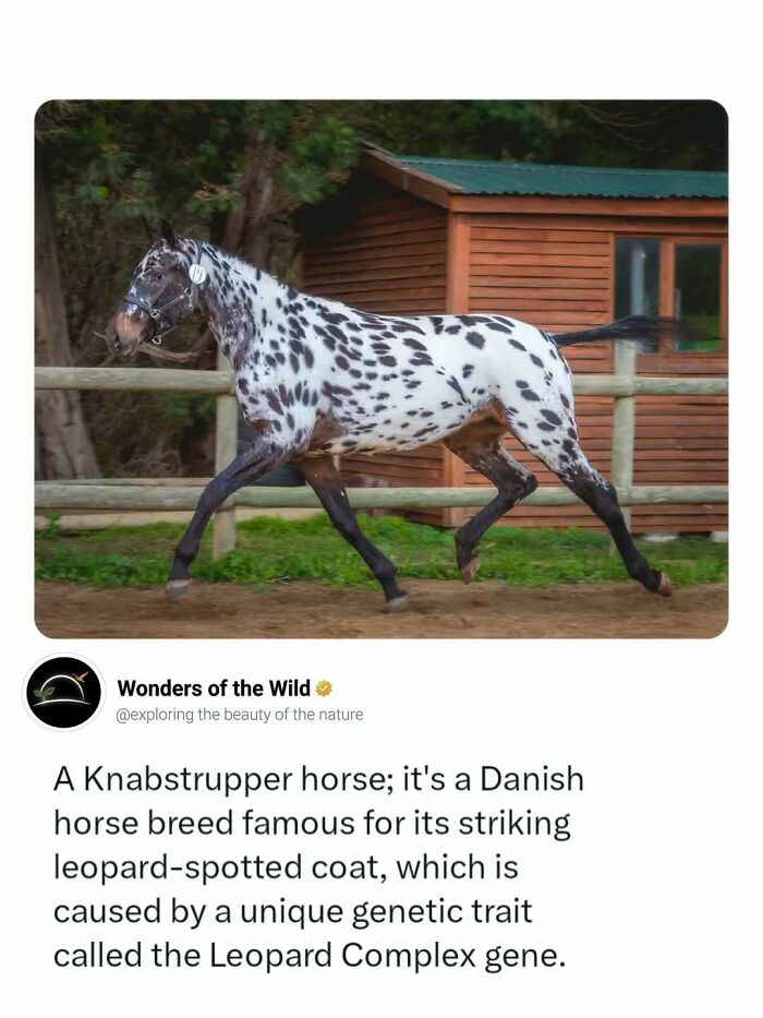 44 Animal Facts That’ll Totally Surprise You