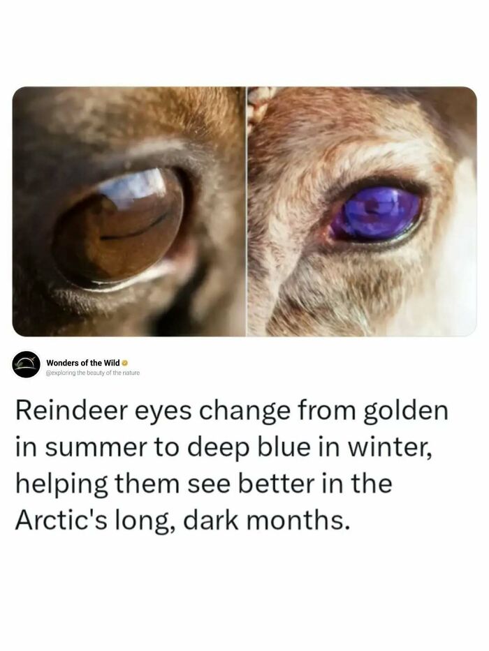 44 Animal Facts That’ll Totally Surprise You